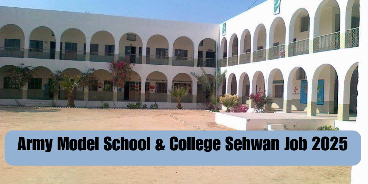 Army Model School & College Sehwan Job 2025