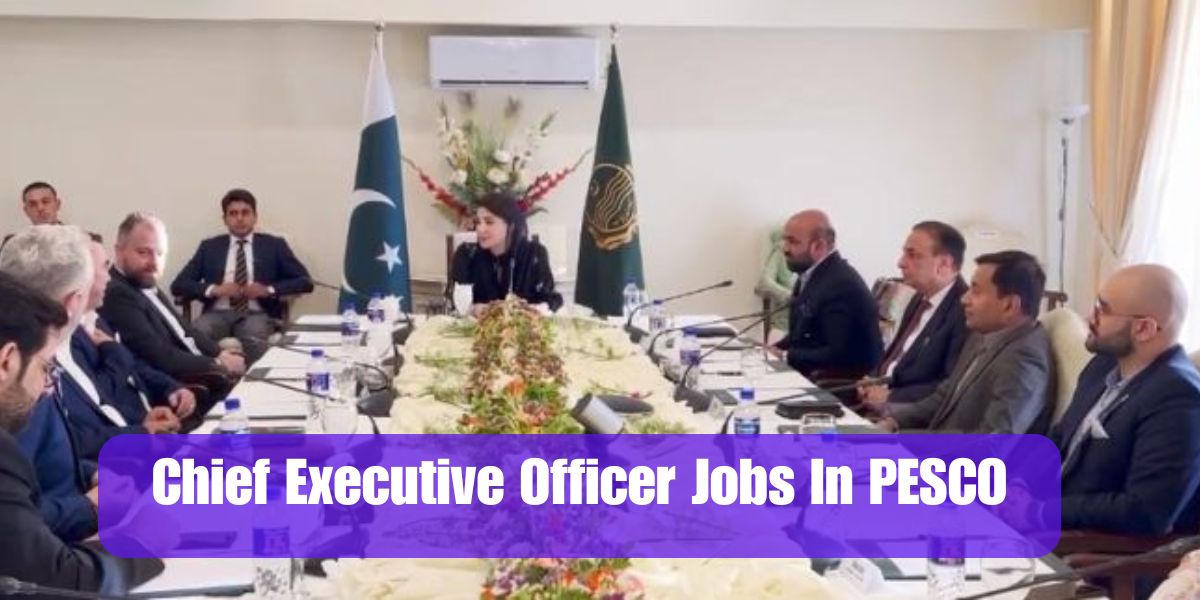 Chief Executive Officer Jobs In PESCO