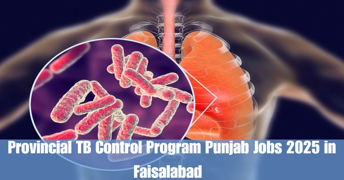 Provincial TB Control Program Punjab Jobs 2025 in Faisalabad – Apply Today