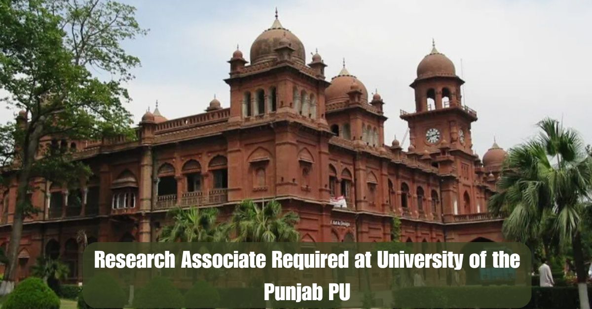 Research Associate Required at University of the Punjab PU – Govt Jobs 2025