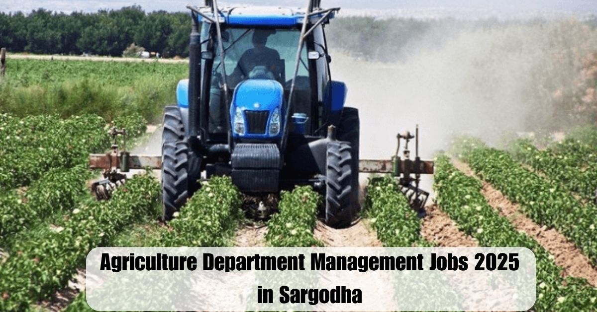 Agriculture Department Management Jobs 2025 – Great Government Job Opportunity in Sargodha
