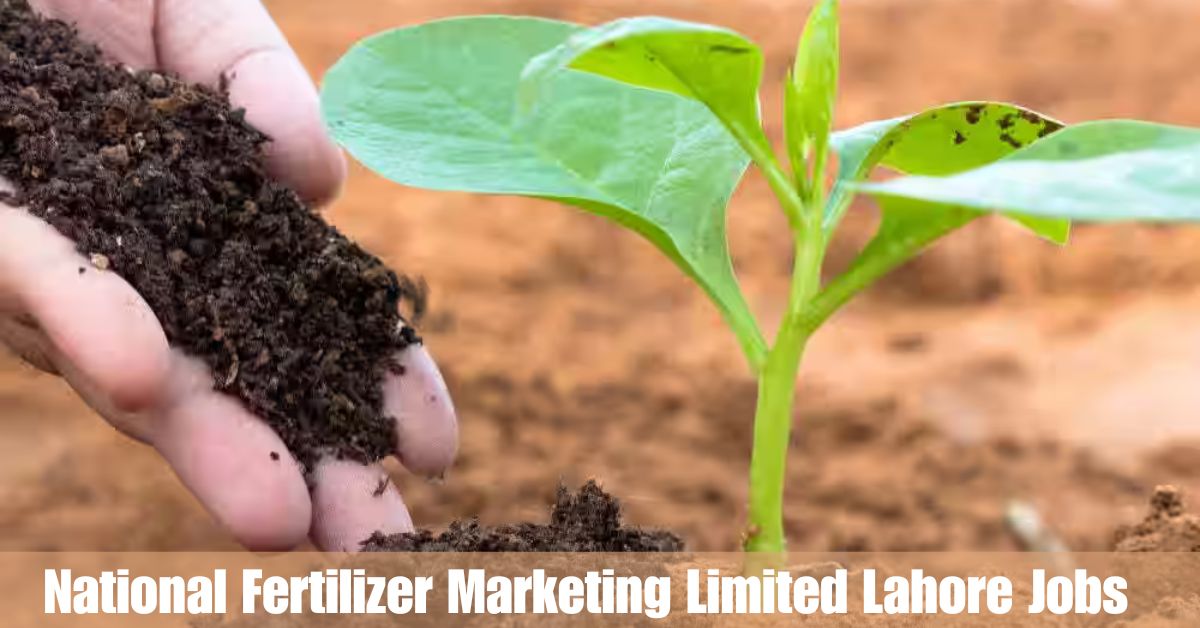 National Fertilizer Marketing Limited Lahore Jobs 2025 – Apply Now